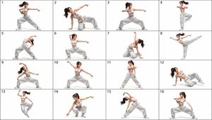 16-Pose Dance Reference Sheet