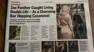 Absurd Tabloid Panther Newspaper Front Page