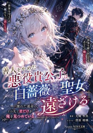 Anime Light Novel Cover Illustration