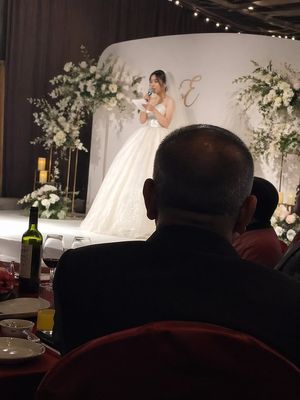 Candid wedding speech photo