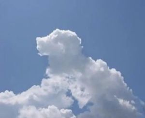 Cloud shape doodle generation