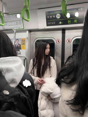 Exact Image Replication