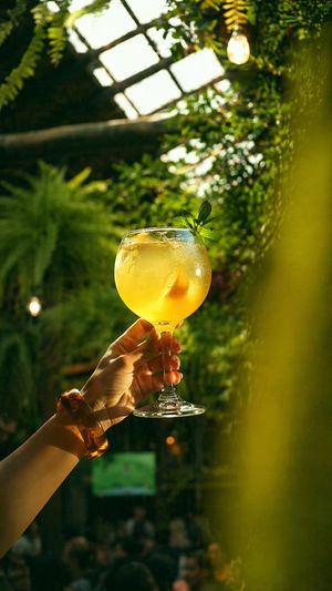 Golden Cocktail in Greenhouse Bar