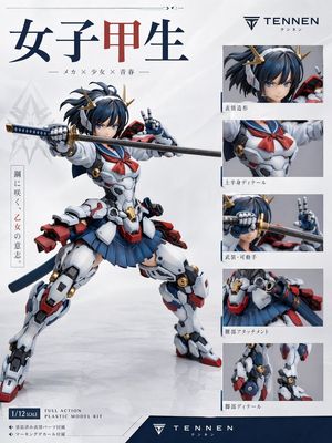 Japanese Mecha Girl Figure Ad Poster