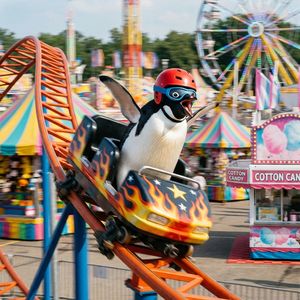 Penguin on a Carnival Roller Coaster