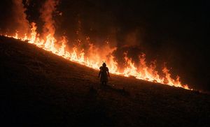 Samurai Before a Hillside Fire