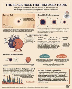 Teen-Friendly Black Hole Physics Infographic